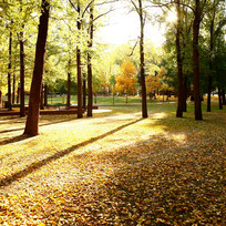 Glebe park 054.jpg