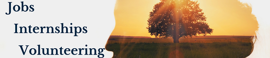 Career Internships Volunteering Resources(1).png