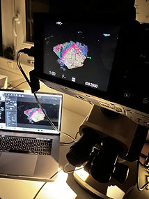 Formation de photomicrographie d'inclusions dans les pierre par une experte Marine Bouvier - appareil photo et microscope