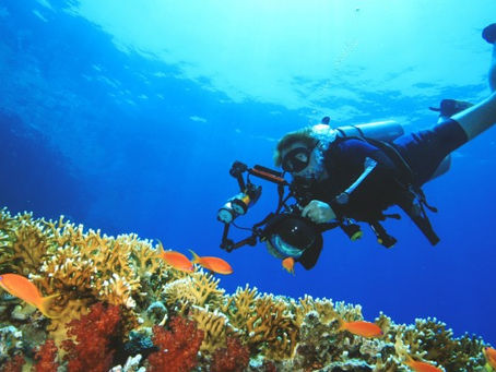 4 bonnes raisons de faire la spécialité PADI Photo sous-marine