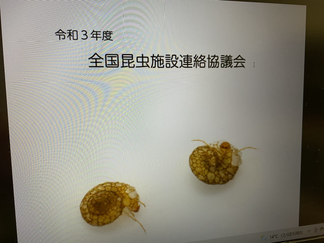 全国昆虫施設連絡協議会の矢島賞を受賞しました。