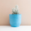 Thumbnail: Recycled Ocean Plastic Plant Pot Light Blue - 2 Sizes