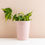 Thumbnail: 'Ava' Orchid Plant Pot - Pink