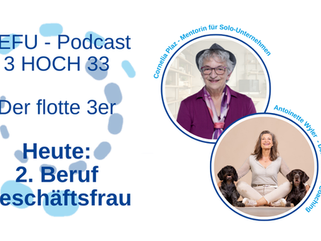 Podcast: 3 HOCH 33 - «so geht's nicht weiter!»