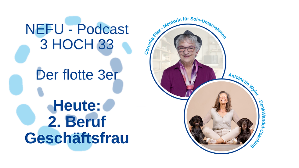 Podcast: 3 HOCH 33 - «so geht's nicht weiter!»