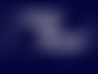 To Fight or Take Flight