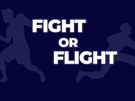 To Fight or Take Flight