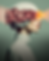 feed Estudio plaNet (20).png