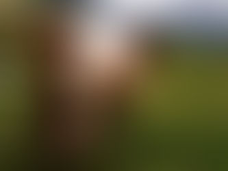 Overcoming Lower Milkfat