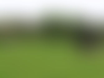 Factors Affecting Milk Fat And How To Increase It