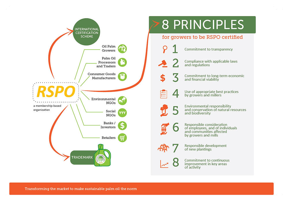 8 Principles For Sustainable Palm Oil