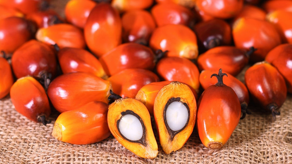 Sustainable Palm Oil