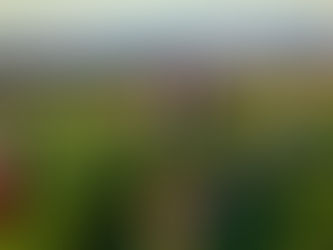 How To Start A Farming Business