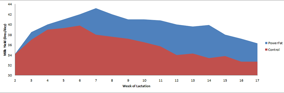Rumen Protected Fat vs Control