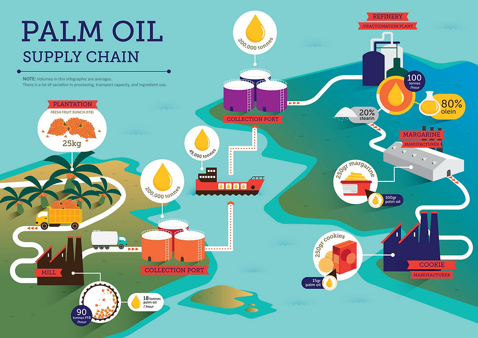Palm Oil Supply Chain