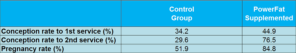 Rumen Protected Fat vs Control Group