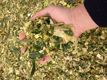 Some Tips On Silage Storage