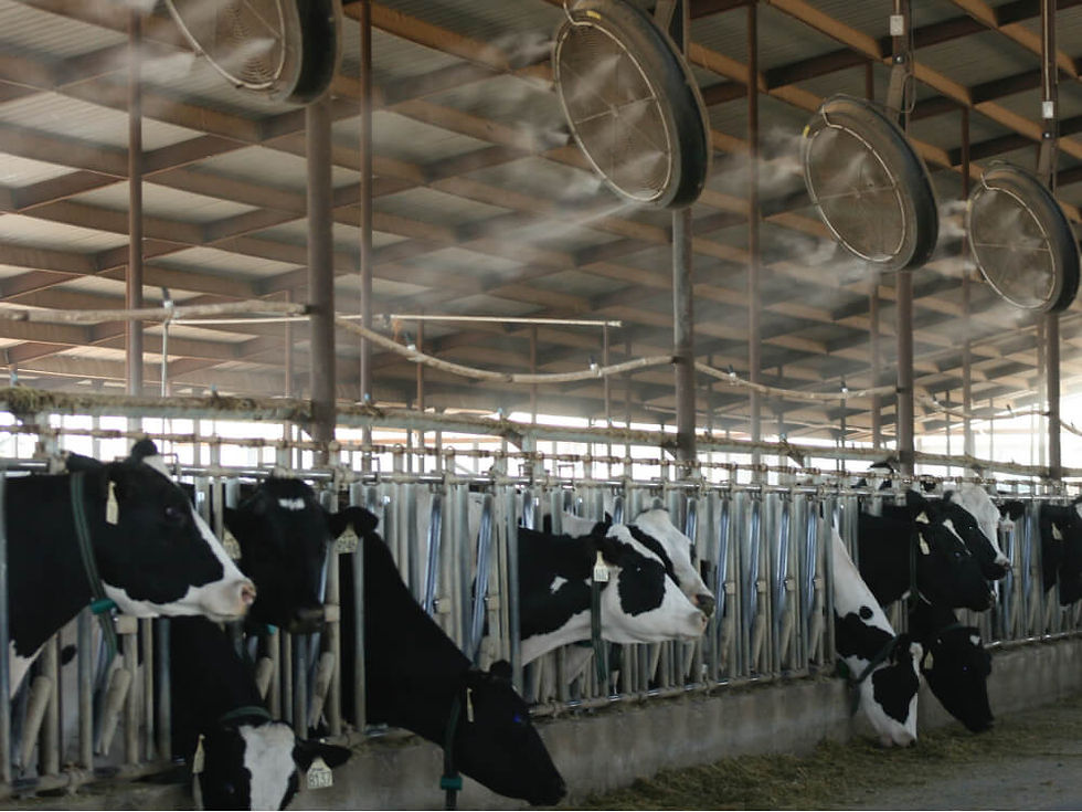 Importance of Cooling
