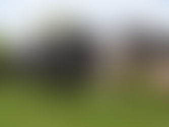 Tips To Assess Dairy Cow Behavior