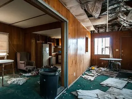 Mold growth threatens your home's health and structure. Professional intervention ensures safe, complete removal without risks.