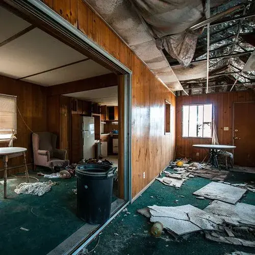 Mold growth threatens your home's health and structure. Professional intervention ensures safe, complete removal without risks.