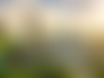 University of British Columbia Masters Review 2026: Rankings, Fees & Admission