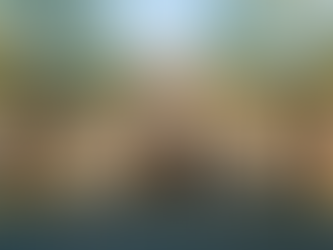 University of Freiburg Admission 2026: The Ultimate Guide for Indian Students