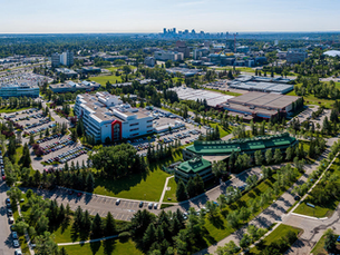 University of Calgary Masters Review 2026: Rankings, Fees & Admission