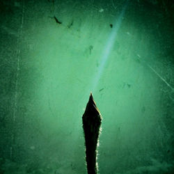 Para ver la luz . 2011