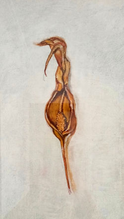 Flor seca