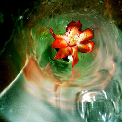 En el sueño II . 2012