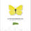 Miniaturebillede: Citronsommerfugl A5 plakat