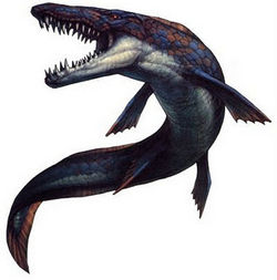 Hainosaurus