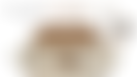 One Vibe Two Budgets | Neutral Scandinavian Living Room