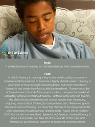 Myth A child's fluency (Poster).png