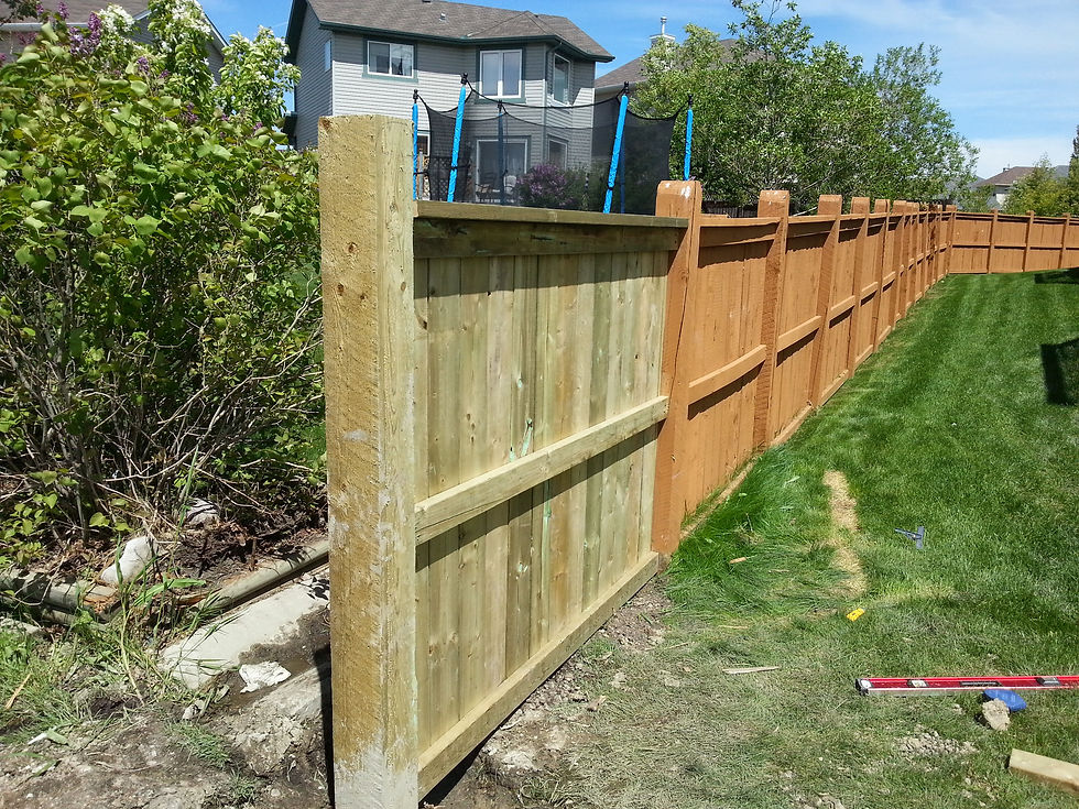 Newly installed wooden fence in a backyard