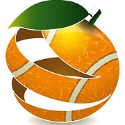 Logo de www.homesports.cl