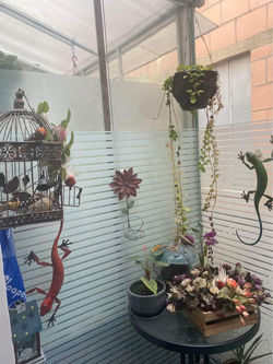 456440013_2051034208627036_2351743231114670577_n