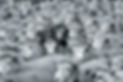 Untitled design (10)_edited.jpg