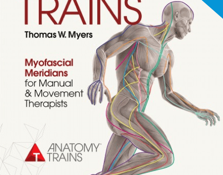 Targeting specific "myofascial lines"