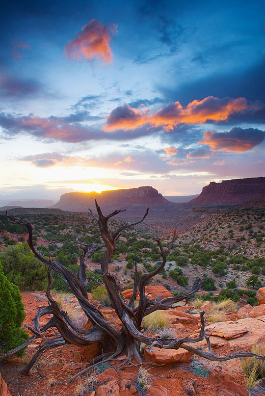 Canyonlands
