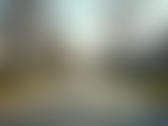 Montgomery Property Market Trends: Insights into Local Property Values