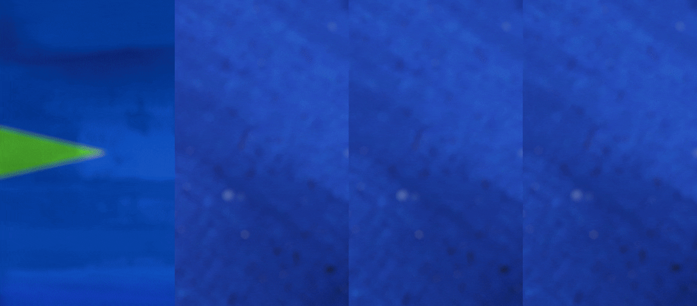Comp 6_optimized.gif