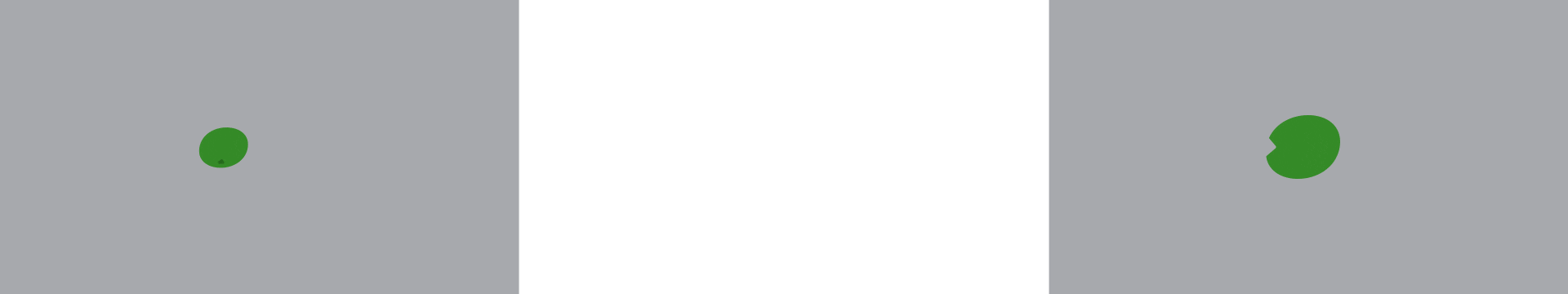 Comp_1_4_optimized.gif