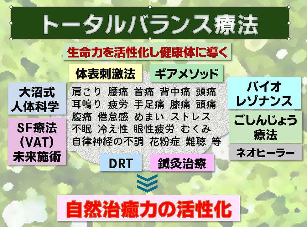 トータルバランス療法図.jpg