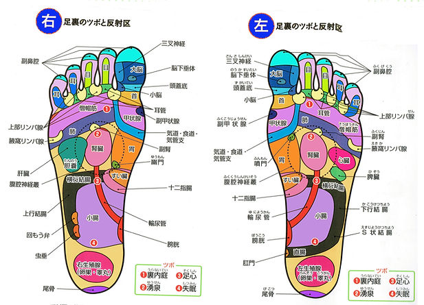 足反射区1a.jpg