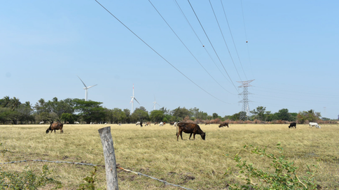 Bii Stinu Wind Farm - Oaxaca, Mexico
