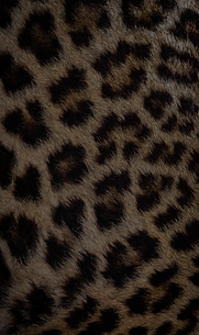 Brown Aesthetic Fashion Studio Style Guide Brand Board.png