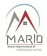 Mario bussines logo