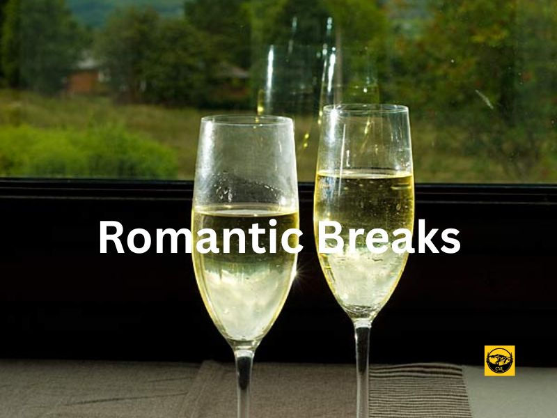 Cadair View Lodge - The Perfect Romantic Escape